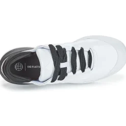 Adidas Sportswear - COURT FUNK