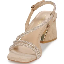 ALMA EN PENA - V250956