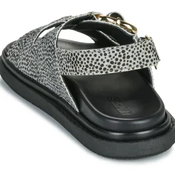 ALOHAS - HARPER SOFT