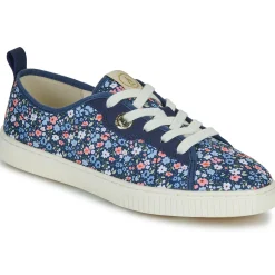 Armistice - NOVO ONE