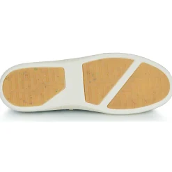 Armistice - NOVO ONE