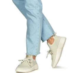 Armistice - VOLT ONE