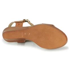 Betty London - CHARLOTA