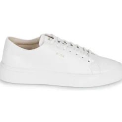 Blackstone - CRAG FINN LOW