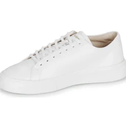 Blackstone - CRAG FINN LOW