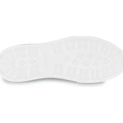 Blackstone - CRAG FINN LOW