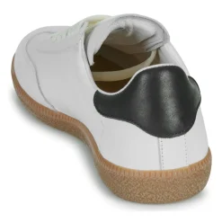 Blackstone - LIME WREN