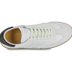 Blackstone - LIME WREN