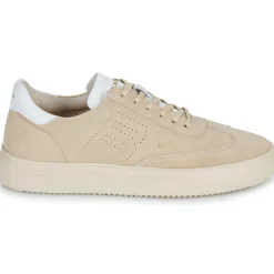 Blackstone - SLATE HARPER