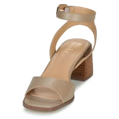 Bullboxer - 202000F2S