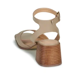 Bullboxer - 202000F2S