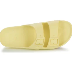 Cacatoès - BELO HORIZONTE