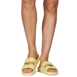 Cacatoès - BELO HORIZONTE