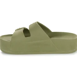 Cacatoès - CAIPIRINHA CLASSIC