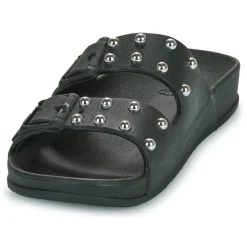 Cacatoès - FLORIANOPOLIS