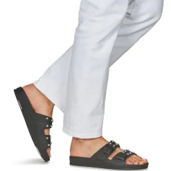 Cacatoès - FLORIANOPOLIS