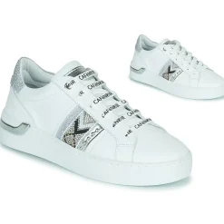 Café Noir - C1DS9210