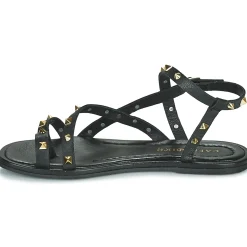 Café Noir - C1GD1040