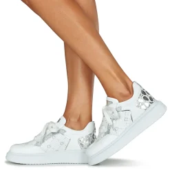 Café Noir - DE1850-W001