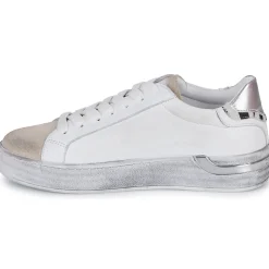 Café Noir - DS1616-S022