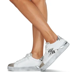 Café Noir - DS1616-S022