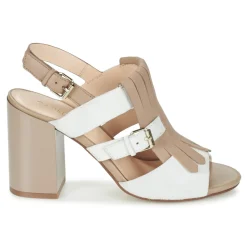 Café Noir - GONFERT