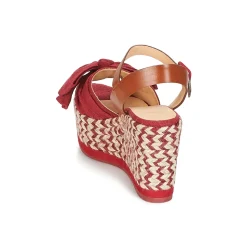 Castaner - EUCALIPTO