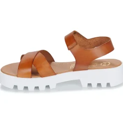 Casual Attitude - BELDOU