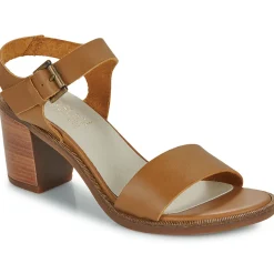 Casual Attitude - CAILLE