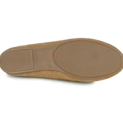 Casual Attitude - GATOE