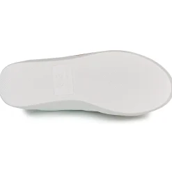 Champion - ERA LEATHER