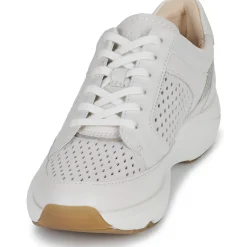 Clarks - Tivoli Walk