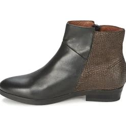 Coqueterra - PATRICE