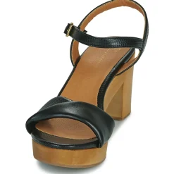 Cosmo Paris - VIXI-VEGPYT