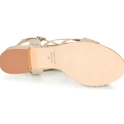 Cosmo Paris - ZEDI-GLIT