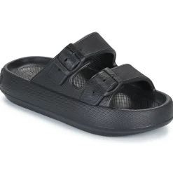 D.Franklin - 334 BLOOMER