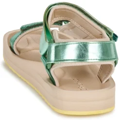 D.Franklin - 361 FOREST