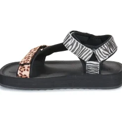 D.Franklin - 404 FOREST HIGH