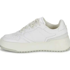 D.Franklin - COURT 321