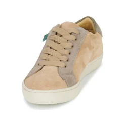 Dream in Green - ACANTHE