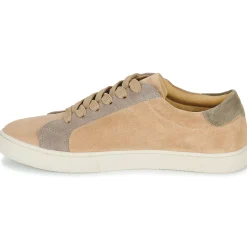 Dream in Green - ACANTHE