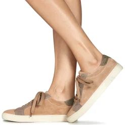 Dream in Green - ACANTHE