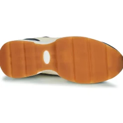 Dream in Green - AGAPANTHE