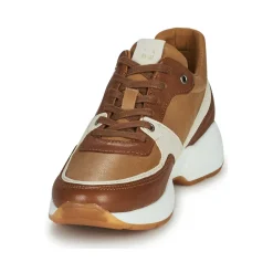 Dream in Green - AGAPANTHE