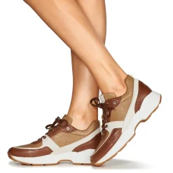 Dream in Green - AGAPANTHE