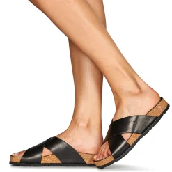 Dream in Green - AGAVE