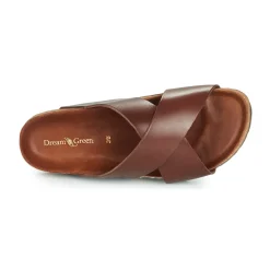 Dream in Green - AGAVE