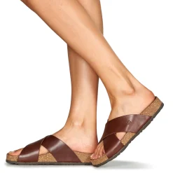 Dream in Green - AGAVE