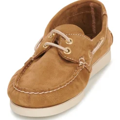 Dream in Green - ANTERA