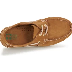 Dream in Green - ANTERA